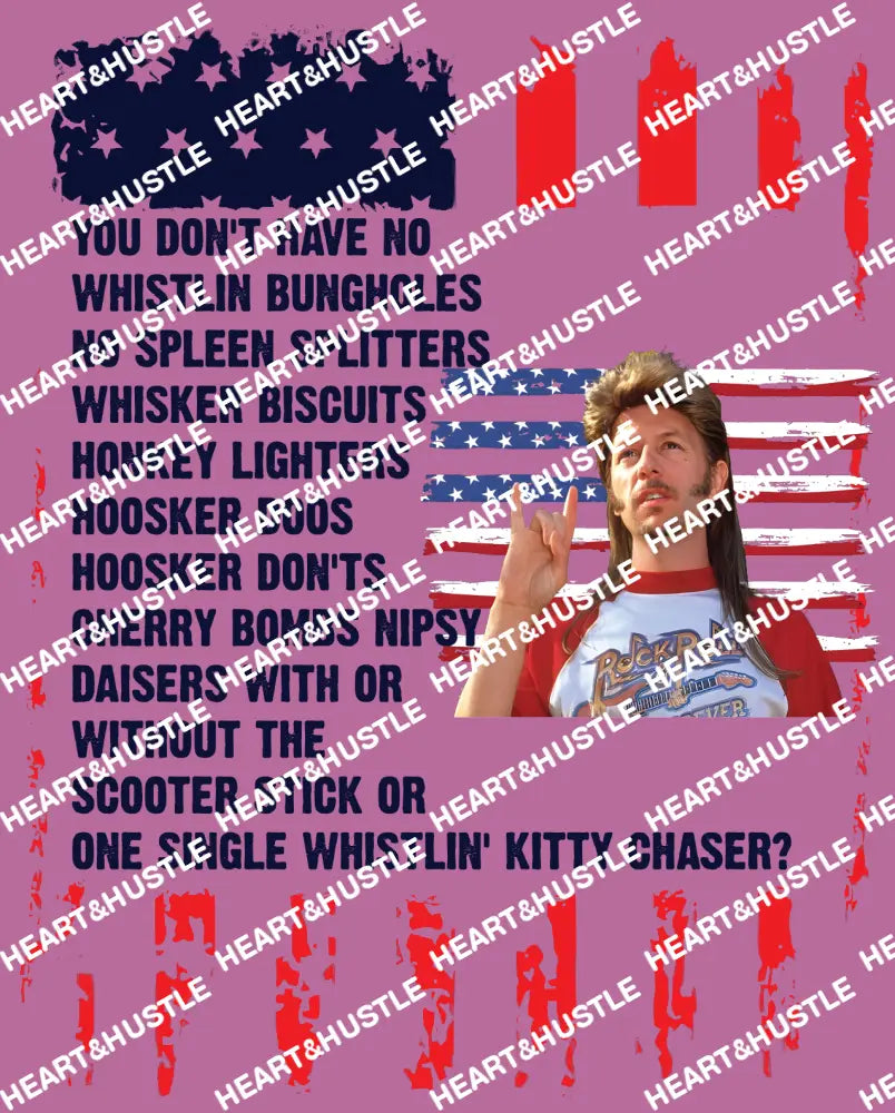Joe Dirt Back