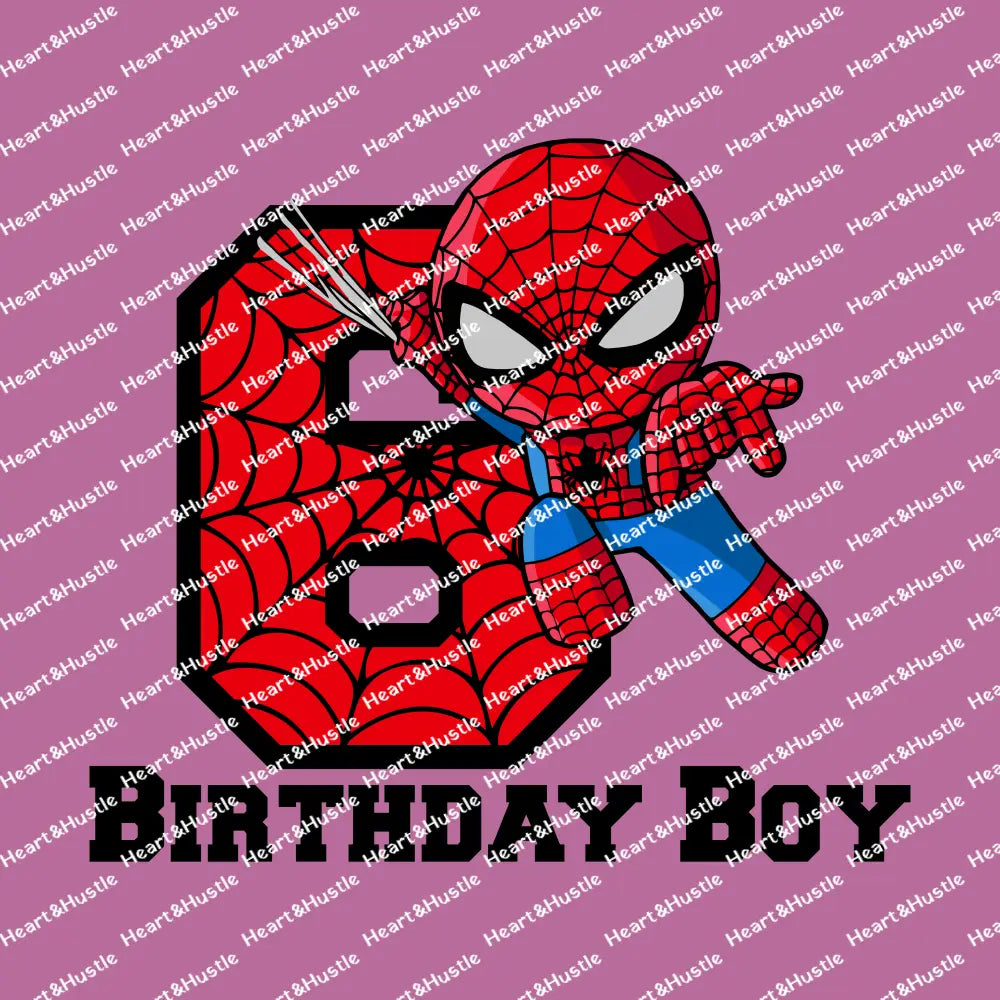 Spiderman Birthday Boy 6
