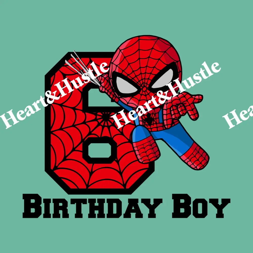 Spiderman Birthday Boy 6