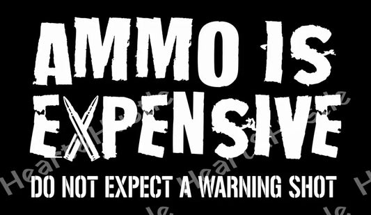 Ammo Is Expensive