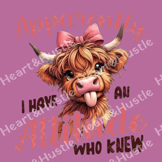 Apparently I Have An Attitude...