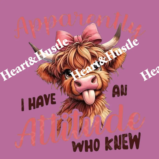 Apparently I Have An Attitude...