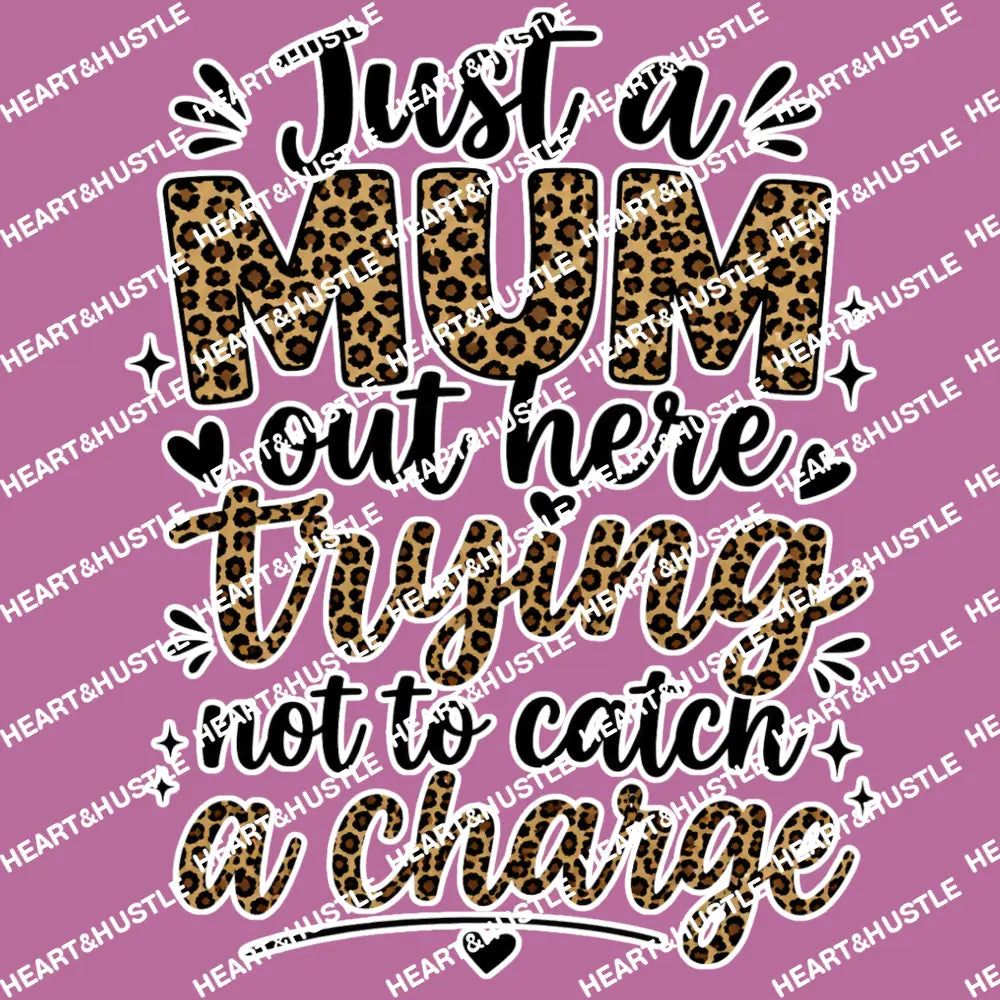 Catch a Charge 2