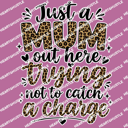 Catch a Charge 2