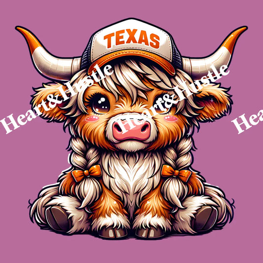 Texan Cow
