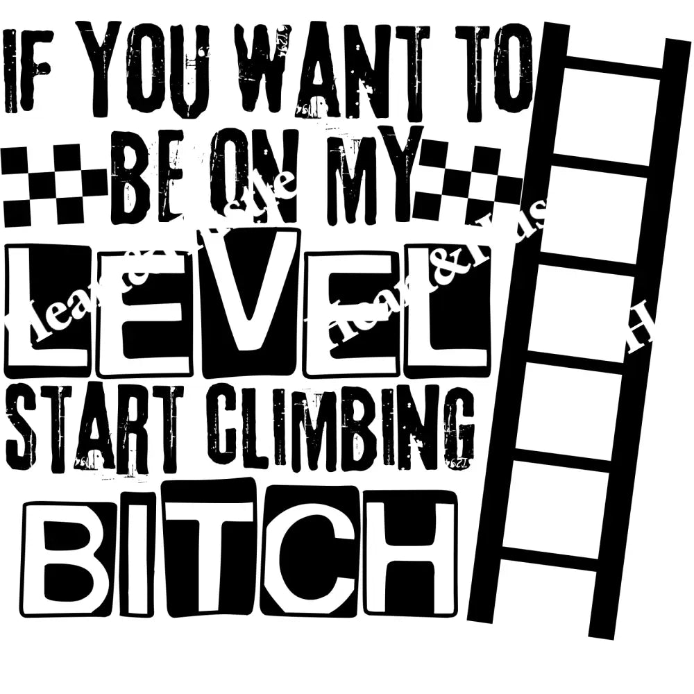 If You Want To Be On My Level Start Climbing Bitch