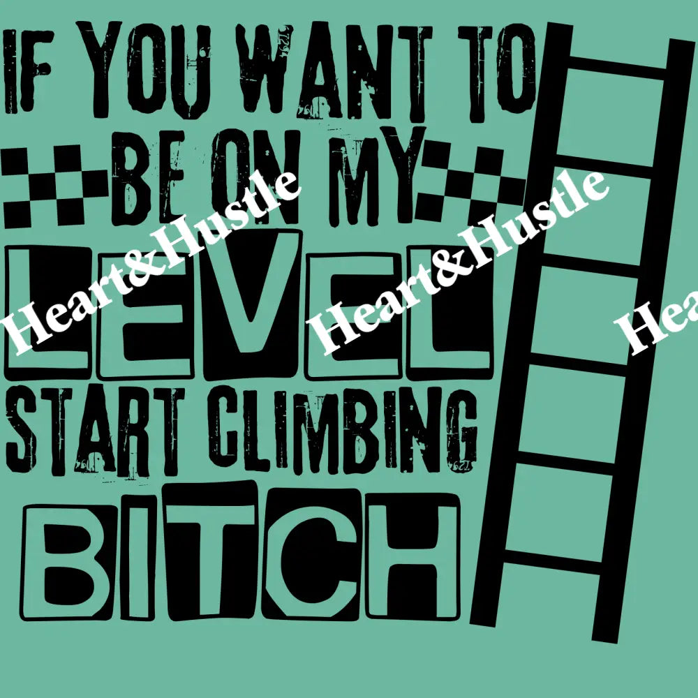 If You Want To Be On My Level Start Climbing Bitch