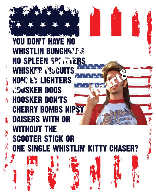 Joe Dirt Back