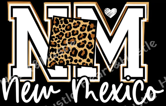 New Mexico NM Cheetah