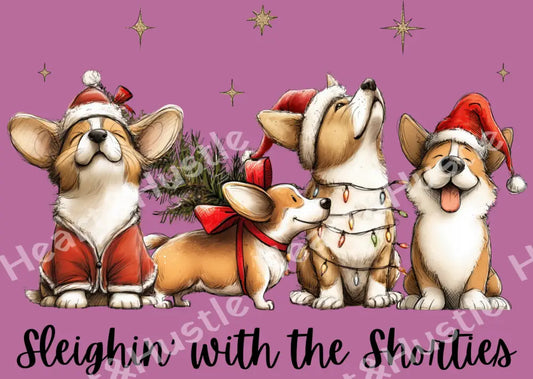 Sleighin with the Shorties