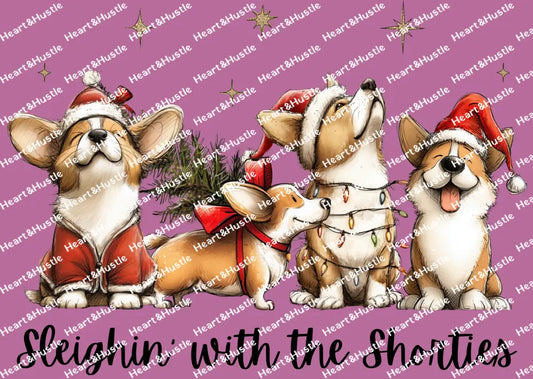 Sleighin with the Shorties
