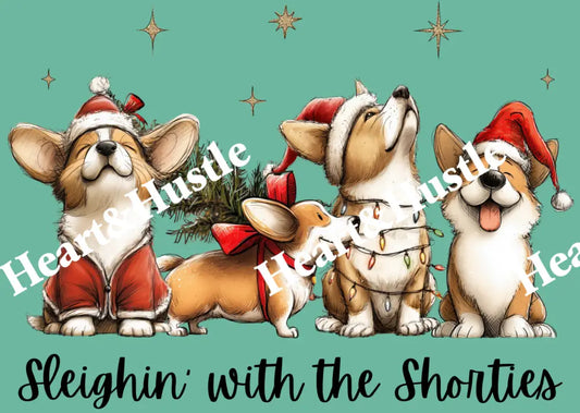 Sleighin with the Shorties