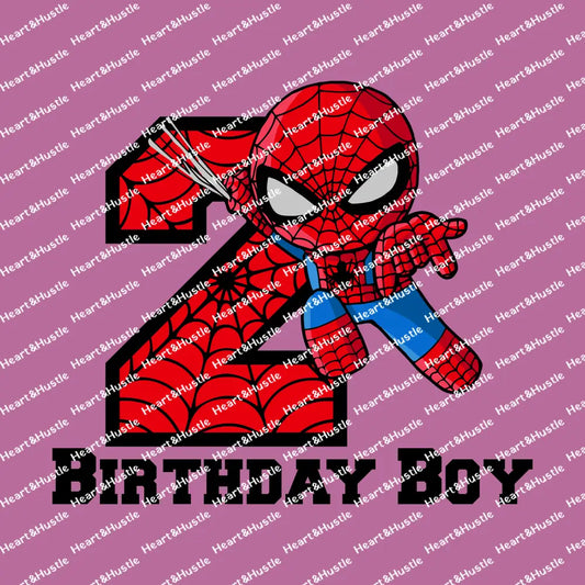 Spiderman Birthday Boy 2