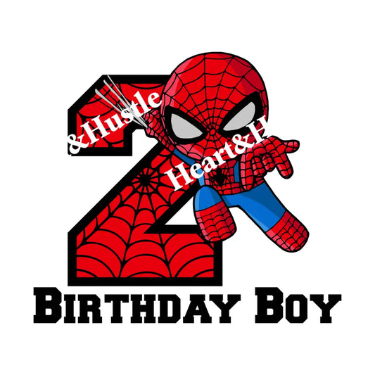 Spiderman Birthday Boy 2