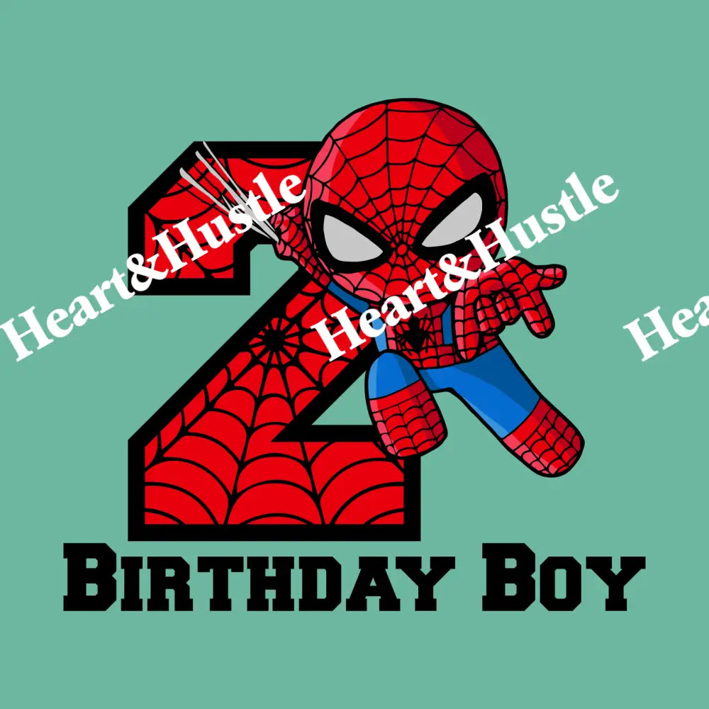 Spiderman Birthday Boy 2