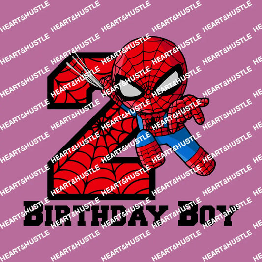 Spiderman Birthday Boy 2