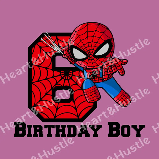 Spiderman Birthday Boy 6