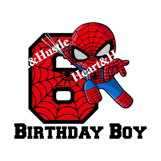Spiderman Birthday Boy 6