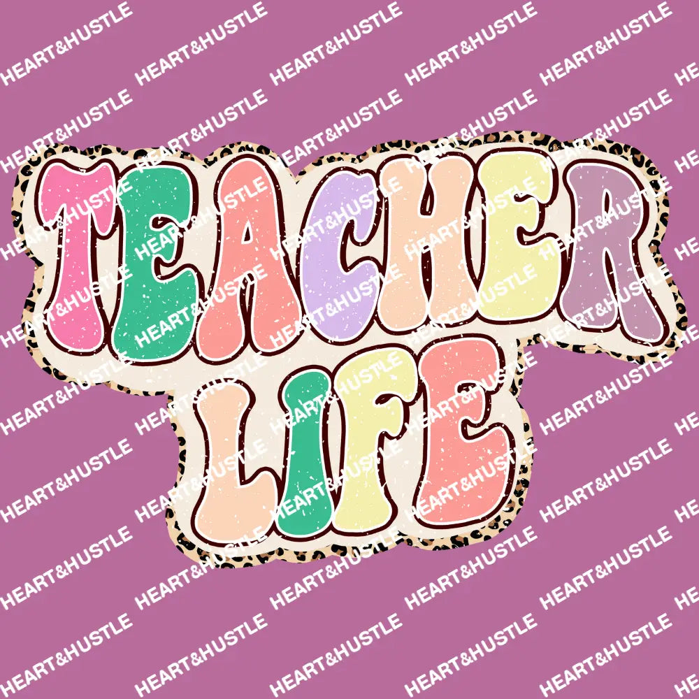 Teacher Life